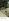 174 sqm Residential Lot For Sale in Santa Maria Bulacan