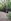 827 sqm Farm Lot For Sale in Padre Garcia Batangas