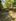 300 sqm Residential Farm For Sale in Brgy First District,Jalajala Rizal 900T R5T Dp265T 17T/mo@3yrs