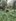 Lot for Sale near Twin lakes/hotels