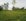 For Sale by Owner ,4,193 sqm Residential Lot For Sale in Binan Laguna