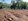 Agricultural farm lot  for sale- for residential only