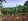 Farm lot in Amadeo Cavite near Tagaytay