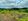 Priveya Hills Residential Lot for Sale in Talamban