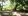 Bank Foreclosed 2.58 hectares Residential Lot For Sale in Marymount Village Los Banos Laguna