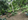 Bank Foreclosed 4,418 sqm Agricultural Farm Lot For Sale in Baras Rizal: Bank financing available