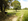 Foreclosed 5,859 sqm Cheap Farm Lot For Sale in Gerona Tarlac: Great for Farm and Resort development