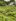 280 sqm Residential Lot For Sale in Brgy. Biklatan General Trias Cavite