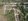 317sqm Wide Residential Lot For Sale in The Grove Forest Farms at Angono Rizal