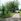 100 sqm Residential Lot for sale at Purok 24, Mabuhay, GSC. ( Near J&G Propiedad)