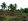 SIARGAO AGRICULTURAL FARM LOT