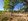 Clean titled Residential lot in Antipolo City for sale