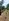 SIARGAO BEACH LOT FOR SALE OR RESIDENTIAL LOT