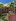 House and Lot with 2 bedrooms