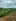 Farm Lot For Sale in Dumanjug Cebu