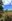 25 Hectares Farm Lot For Sale In Indalasa Malaybalay Bukidnon