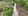 200 sqm Lot For Sale in Sibunag Guimaras