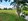 370 sqm | Below Developer Price | South Lake Village  Eton City
