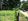 FOR SALE:  1,327 sqm Lot in Mintal, Davao City!