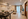 RUSH SALE 2BR Condo  Sea Breeze Verandas Anvaya Cove | 65 sqm | Furnished | Ayala Land Premier