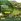 Mondia | Residential Lot in NUVALI