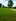 Crisp 213 sqm Morningfields At Carmeltown by Sta Lucia Group of Companies in Calamba, Laguna