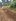 500 sqm residential farm lot for sale at Amadeo Cavite!