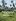 1000 sqm Coconut and Dates Farm Lot For Sale in Tiaong Quezon