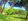 Affordable 600 sqm Farm Lot For Sale in Quisao, Pililla, Rizal