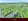 Residential Lot For Sale in Southdale Setting Nuvali Calamba Laguna