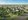 177 sqm Residential Lot For Sale in Calamba Laguna