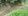 1.3 hectares Residential Lot For Sale in Barili South Cebu