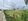 4,919 sqm Prime Residential or Commercial Lot for Sale in Carcar City, Cebu along the main brgy road