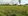 7.5 hectares Residential Lot For Sale in Toledo South Cebu