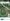 2.51 Hectare Titled Lot for Sale in Maninang, Sapian, Capiz