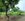 487 sqm Residential Lot For Sale in Puerto Princesa Palawan