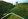 45,080 sqm Agricultural Farm For Sale in Aloguinsan,Cebu