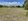 3.7 hectares Agricultural Farm For Sale in Umingan Pangasinan