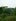500 sqm Farm Lot For Sale in Pililla Rizal