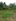 15 Hectares Farm Lot for sale in Gumaca Quezon