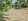 Very Affordable Residential Farm Lot near Indang Town Proper