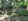 Lot for Sale in Robes Heights 2, Graceville, San Jose Del Monte, Bulacan