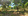 6.3 hectares Residential Farm For Sale in Puerto Princesa Palawan