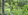 3 Hectares Farm Lot in Tanay, Rizal near Daranak Falls