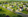 169 sqm Residential Lot in Southdale Setting Nuvali Calamba Laguna