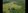RUSH SALE DISCOUNTED 10.18 hectares Residential Farm FOR SALE BY OWNER in Bolinao, Pangasinan
