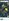 1.9 HECTARES LOT NEAR NGCP, CORELLA,BOHOL, PHILIPPINES FOR SALE