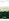 Ricefields 1.5 hectares  residential farm for sale in baao camarines sur