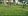 Clean coconut.land for sale