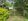 House and Lot 1,001 square meter